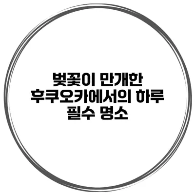 벚꽃이 만개한 후쿠오카에서의 하루 필수 명소