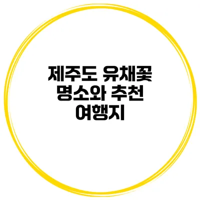 제주도 유채꽃 명소와 추천 여행지